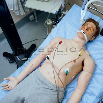 Учебное медицинское оборудование EIDOS Medicine