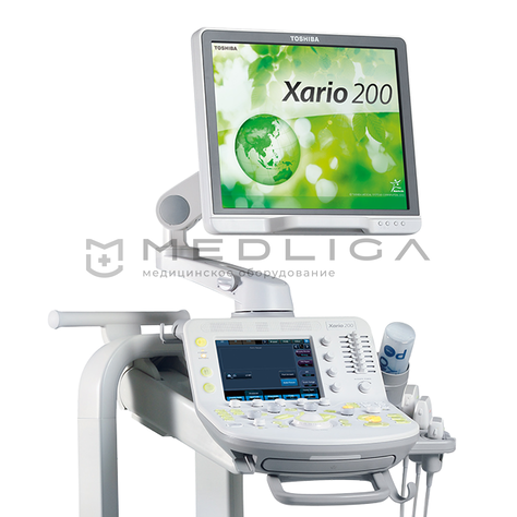 Toshiba Xario 200, 2