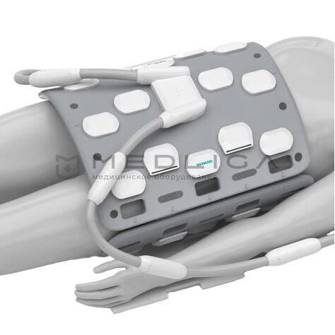 Siemens Body 60/Body 30, 2