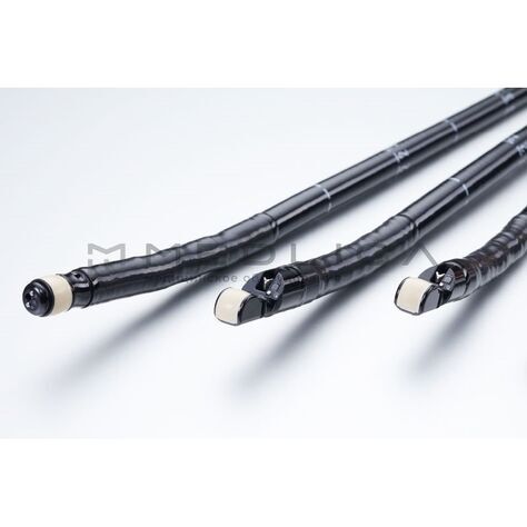 Pentax EG38-J10UT, 3