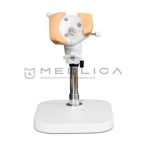 Тренажер по отиатрии, 2