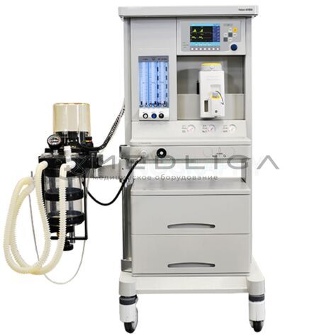 Rochen Velum AM 300, 2