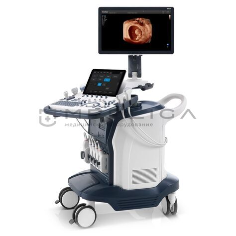 SonoScape S60 Exp, Сегмент: Государственный