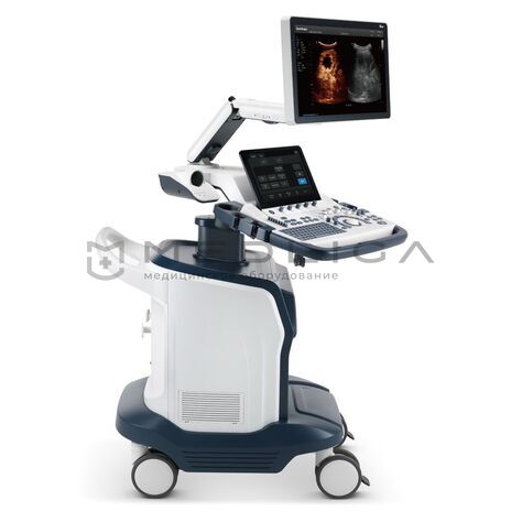 SonoScape S60 Exp, Сегмент: Государственный, 2